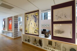 anthony-shaw-collection