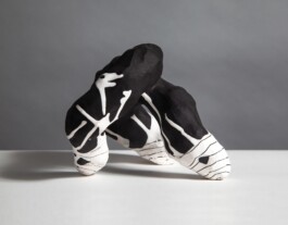  anthony-shaw-collection