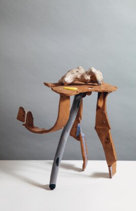  anthony-shaw-collection