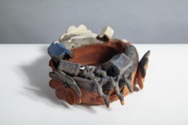  anthony-shaw-collection