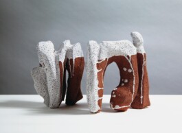  anthony-shaw-collection