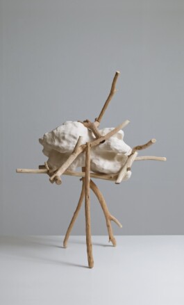  anthony-shaw-collection
