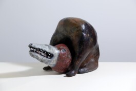 anthony-shaw-collection