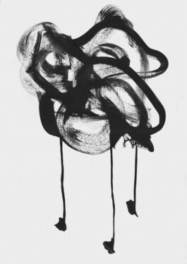  anthony-shaw-collection
