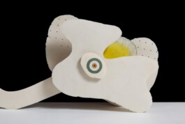  anthony-shaw-collection