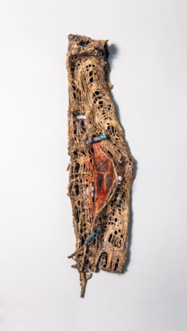  anthony-shaw-collection