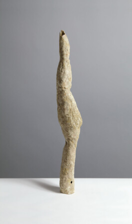  anthony-shaw-collection