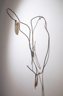  anthony-shaw-collection