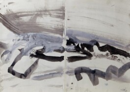  anthony-shaw-collection