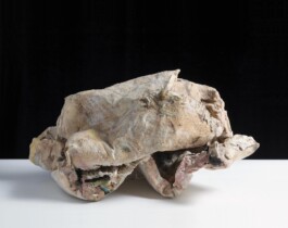  anthony-shaw-collection