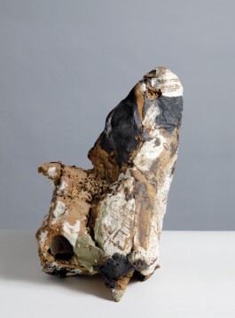  anthony-shaw-collection