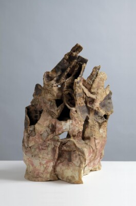  anthony-shaw-collection