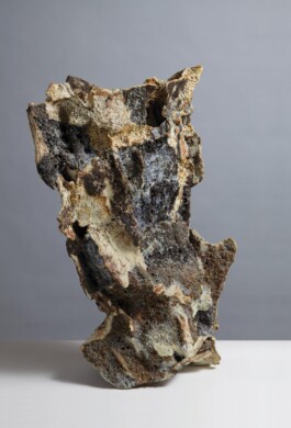  anthony-shaw-collection