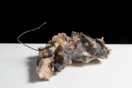  anthony-shaw-collection