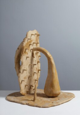 anthony-shaw-collection