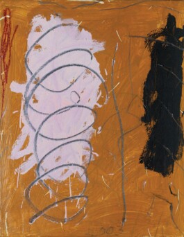 anthony-shaw-collection
