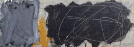 anthony-shaw-collection