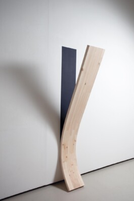  anthony-shaw-collection
