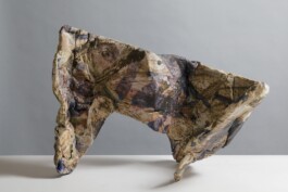  anthony-shaw-collection