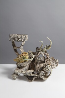  anthony-shaw-collection