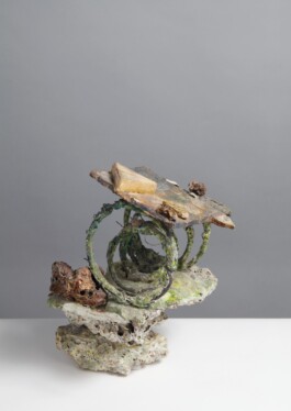  anthony-shaw-collection