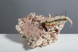  anthony-shaw-collection