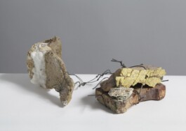  anthony-shaw-collection