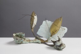 anthony-shaw-collection