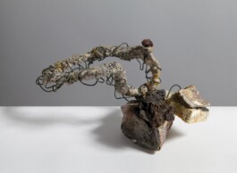  anthony-shaw-collection