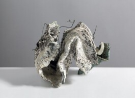  anthony-shaw-collection